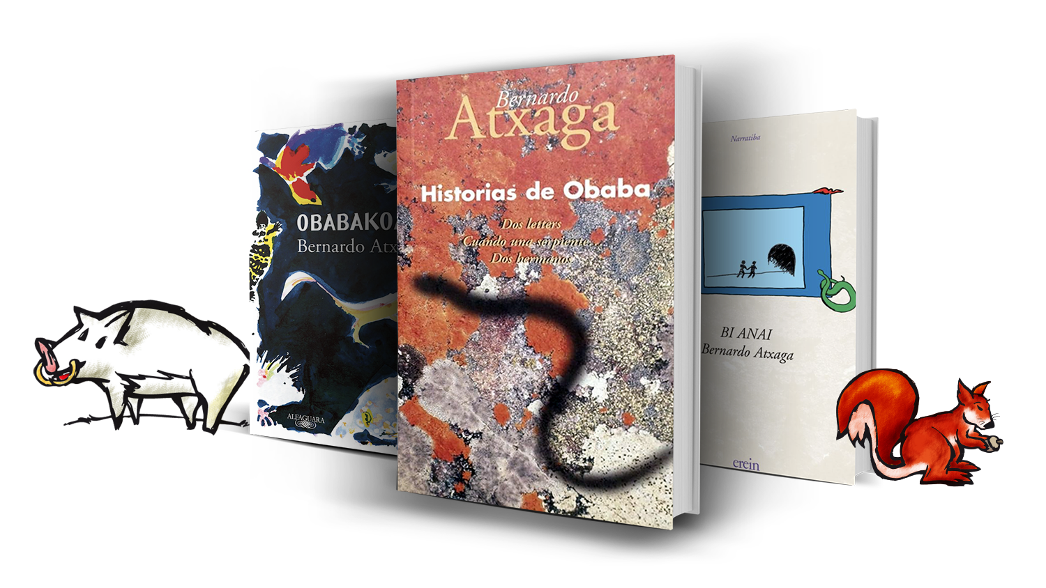 Obaba-liburuak-basurde-katagorri